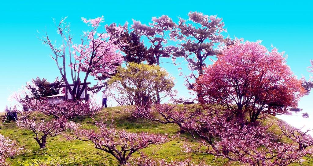 Hotel Nakanoshima โซเบทสี ภายนอก รูปภาพ